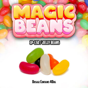 1P LSD Magic Beans